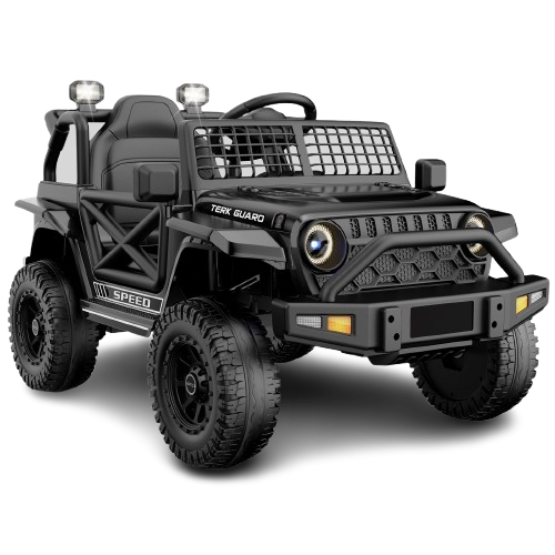 Mini Jeep Renta